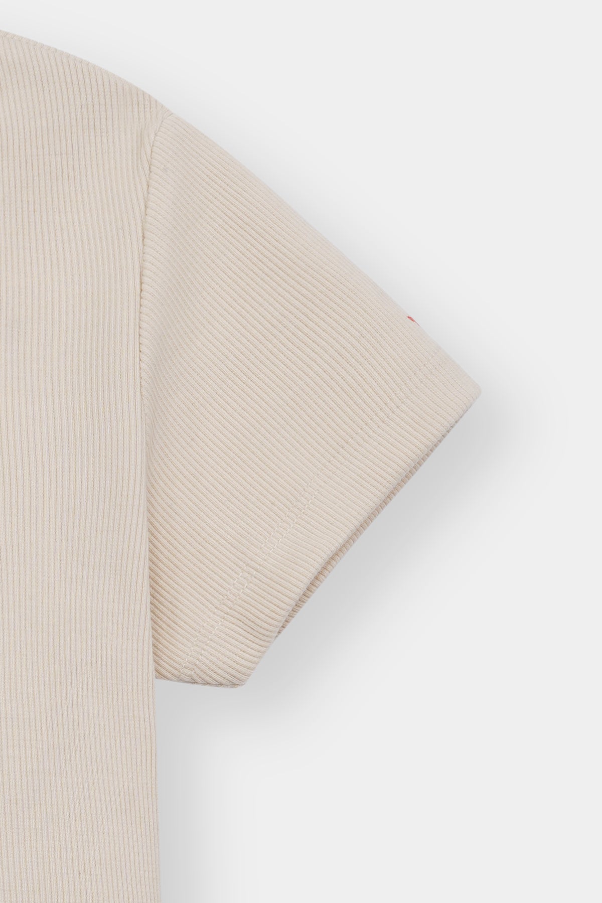 Women Beige Square Neck Ribbed Tee – Minimalist Fit with Loft Link Signature